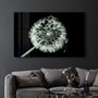 Wallity CAM-3036 Pintura Decorativa de Vidrio Templado 46 x 72 cm